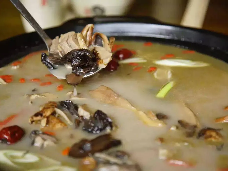 f231d911498529008cc8881a12179699-sz_1496499