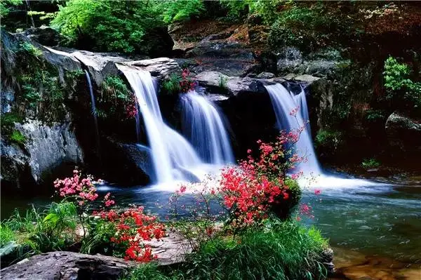 f23641c7066910ca5e4a4a95b2899d76-sz_66548