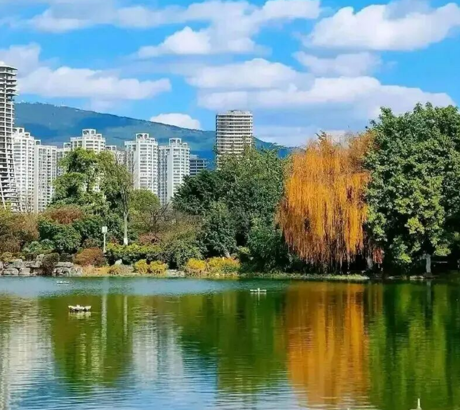 f2421b11e6df3f1a8a148cbea0c26579