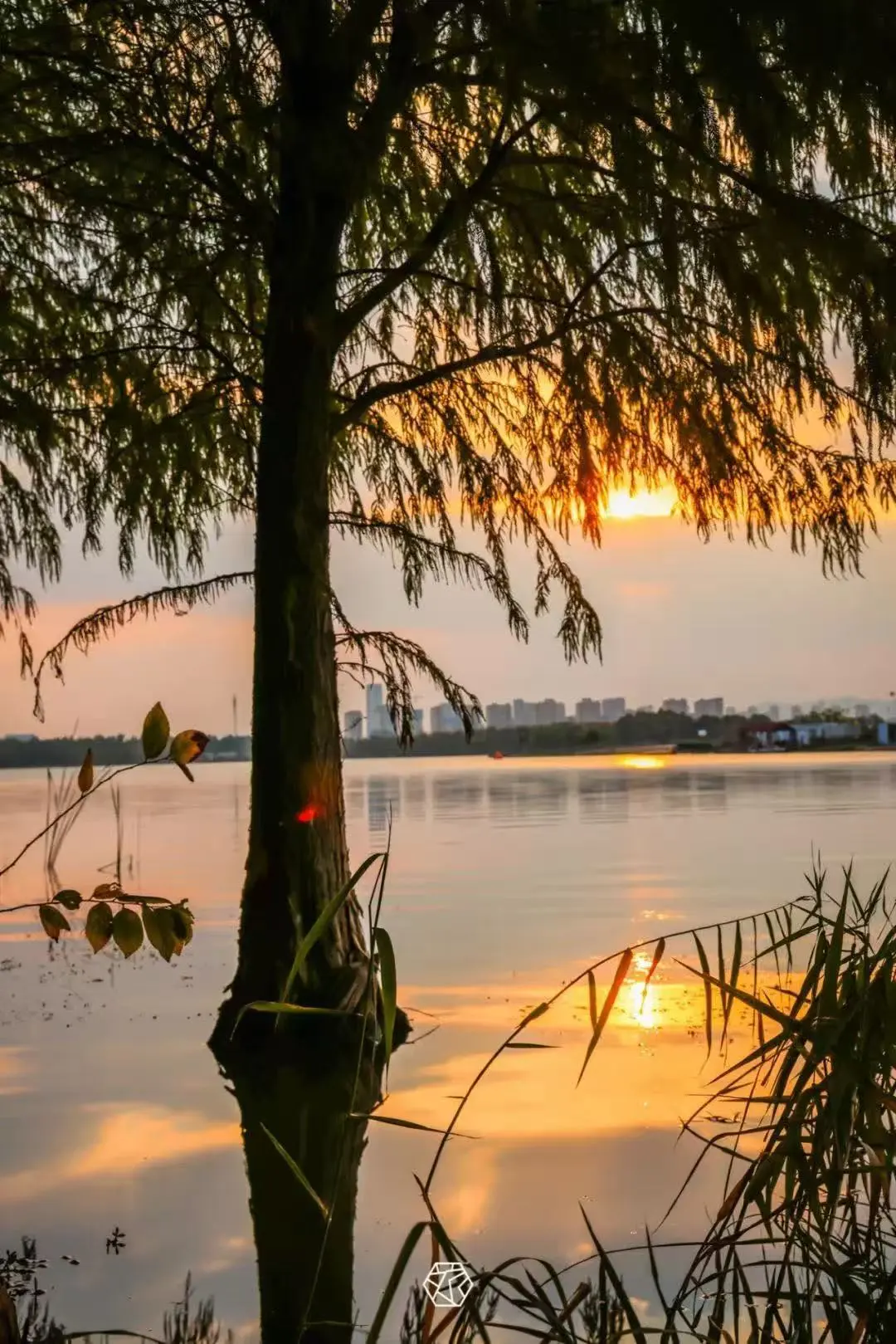 f2b025503a8bcbc7c2d51d528e313105-sz_262534