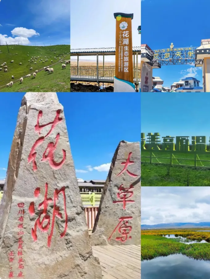 f2c83d734ee3d4d80365507861b4e783-sz_821735