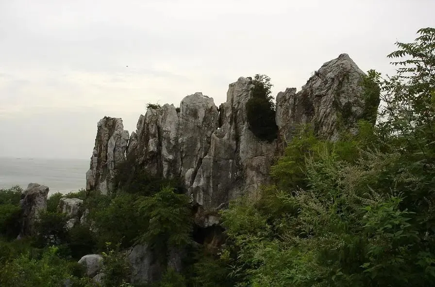 f2de7af575453deaca8756283ca2905c-sz_97230