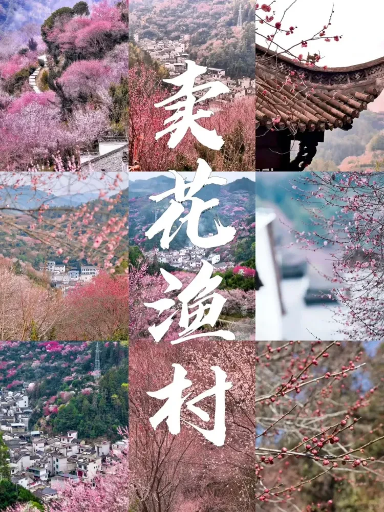 f2e0f5bfb9c80b5952afa707cc34035b-sz_3867945-1