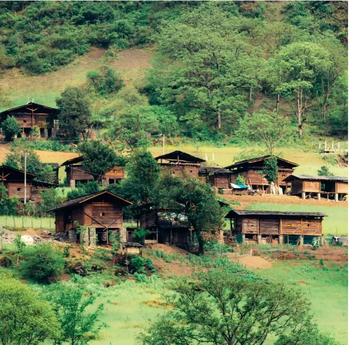 f337d371702932897467d1a8d222069a-sz_1511795