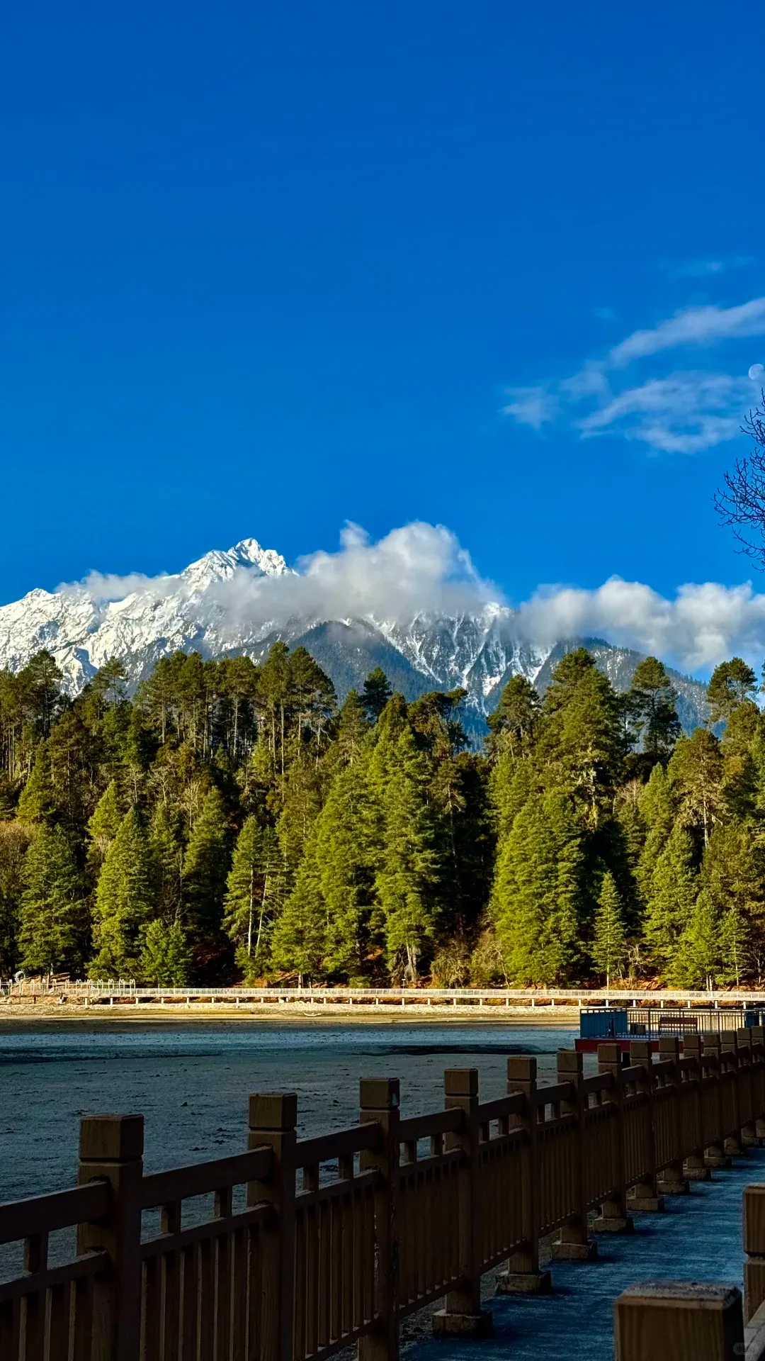 f338b534b06c4c58fc65f6cd4a424143-sz_2509198