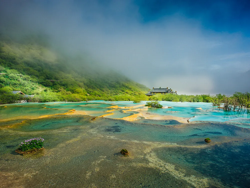 f35470b74ed98f4d450f47aca99512e1-sz_883453