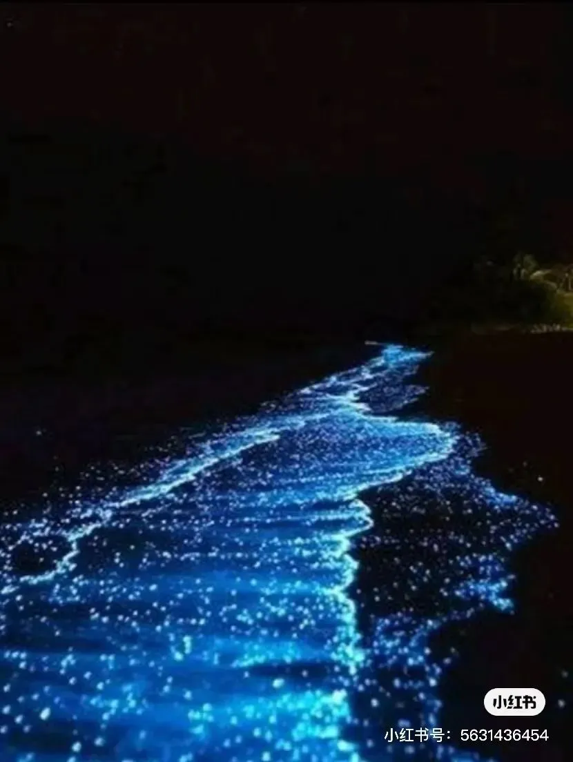 f372c145bc87e8aea9c9fe863ed2732f-sz_75100