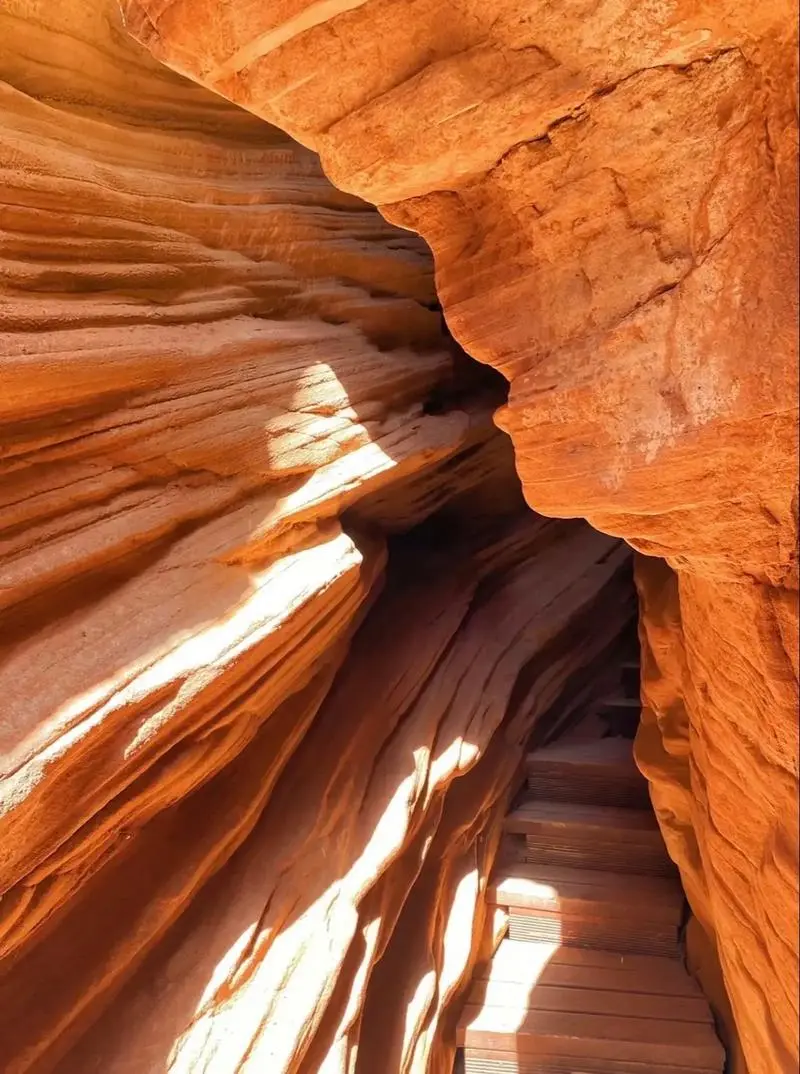 f3a86c3e29ea18258e6cc6e75bd81f72-sz_135021