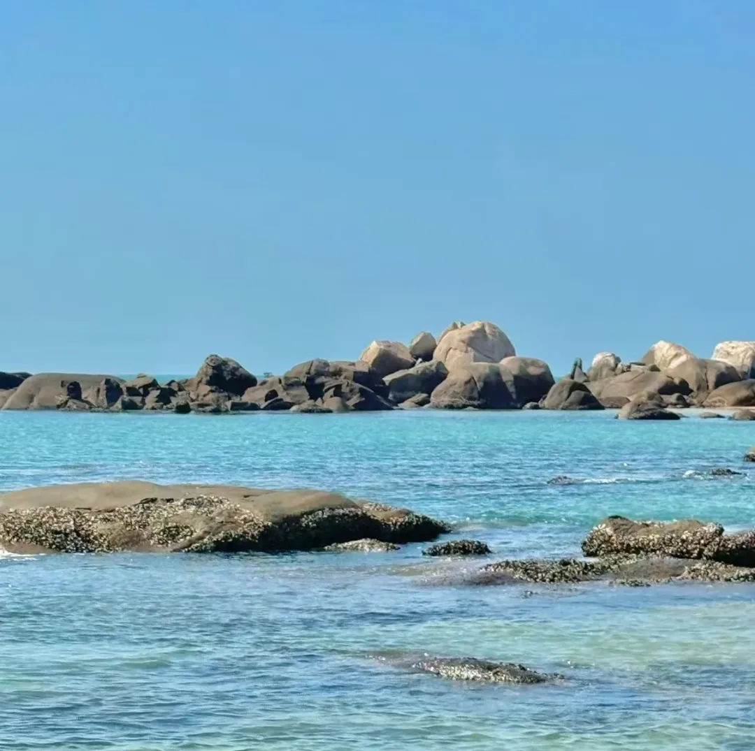 f3f8e44402fa245c959e345ee814d8f3-sz_251131