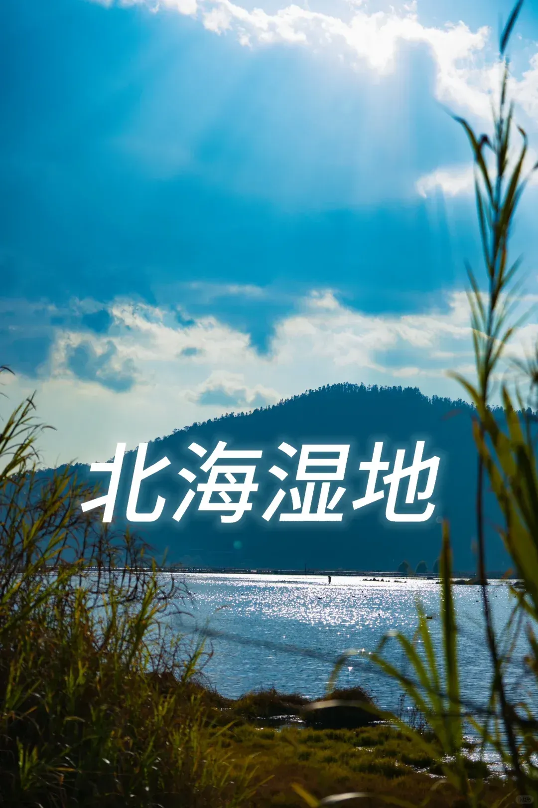 f434b283de6dc07e946185b2c39e476d-sz_2570960