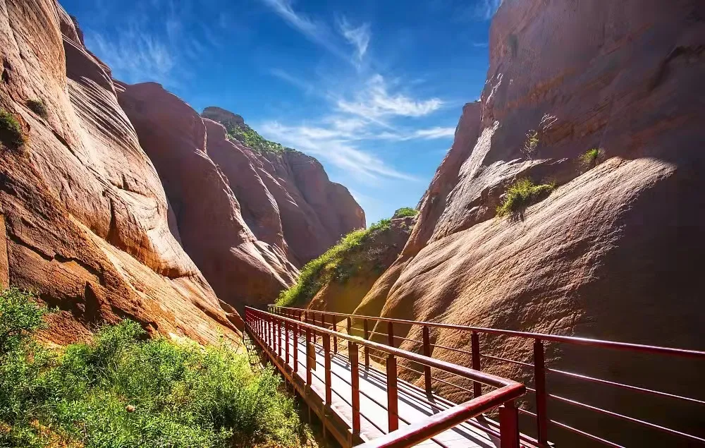 f43d4a06d817a1b01a0ee2450910256d-sz_348880 f43d4a06d817a1b01a0ee2450910256d-sz_348880