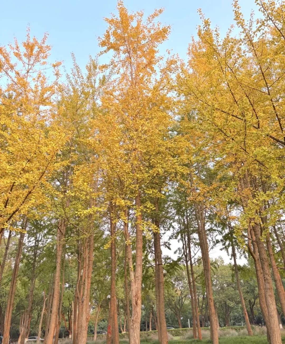 f462659446081883b8887d025f5122da-sz_952469