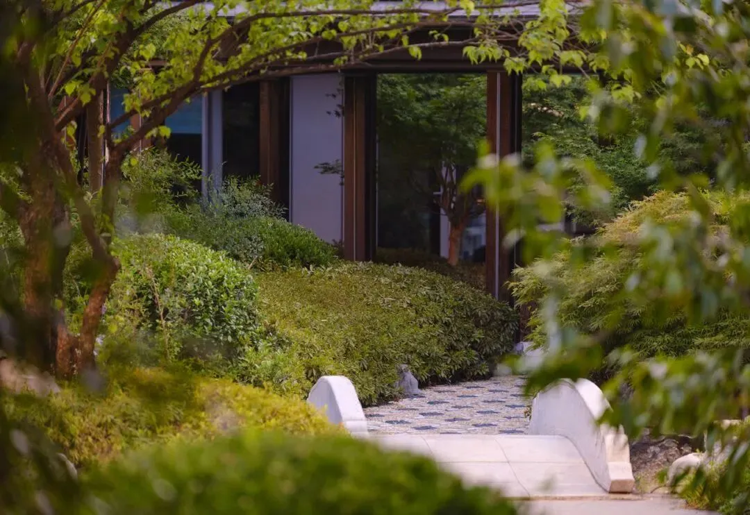 f46e7fbdbd5eeaa4fa3eb3217d63046c-sz_146536