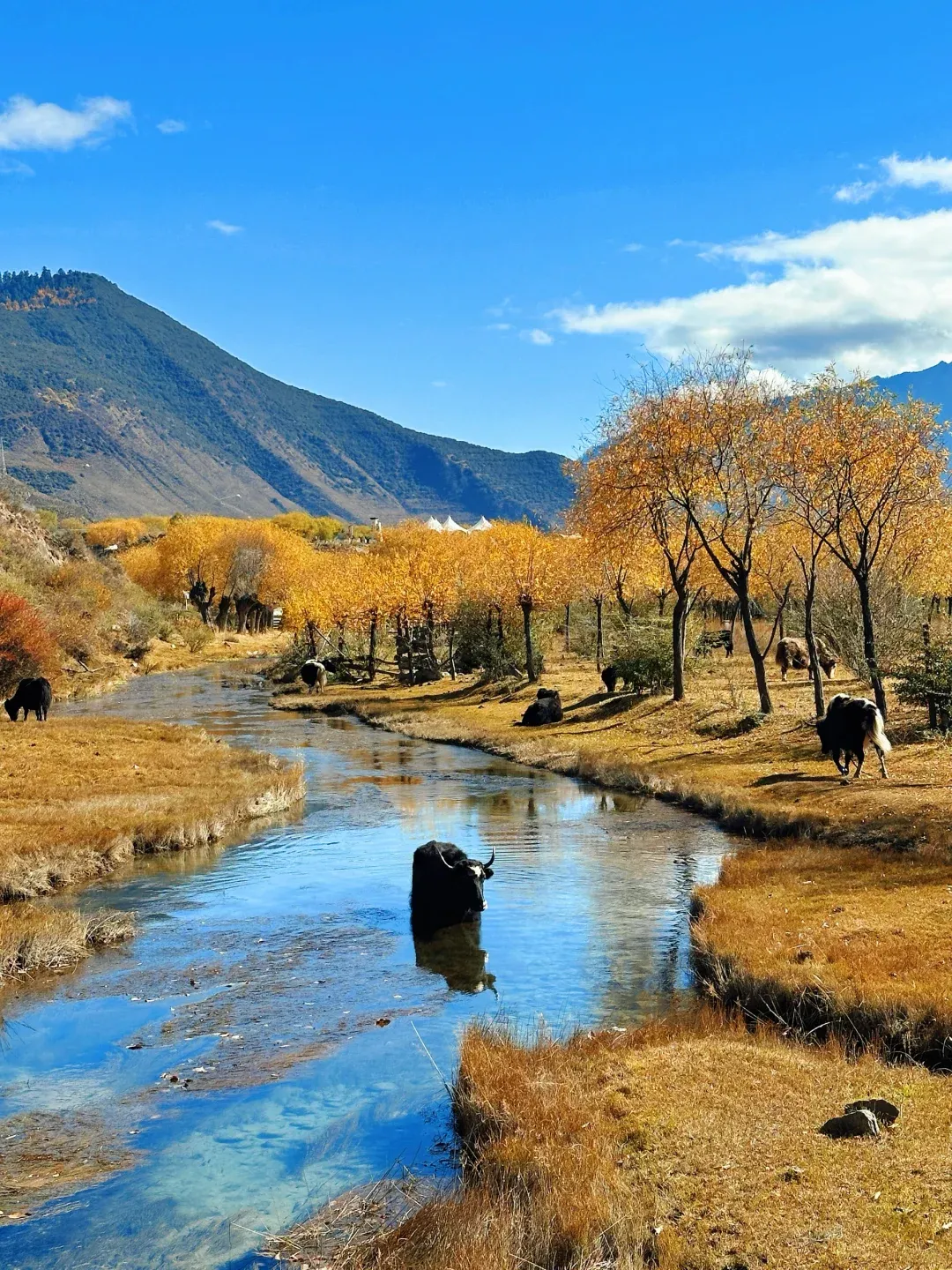 f490a50aec26b09aed70ba2916fc9d3e-sz_2758902