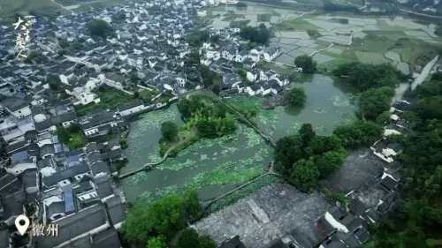 f50505a4218eecda00d03bcca85ef31b-sz_378311