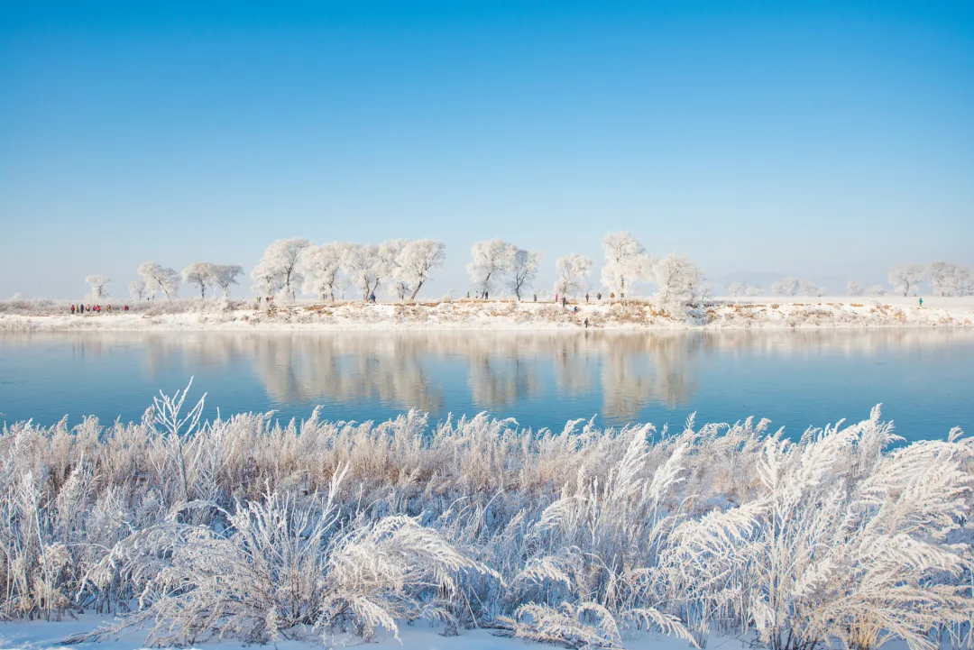 f5819d1c61a79faebaae63e83c3deee0-sz_2915799