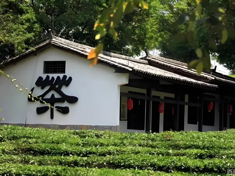 f5847ba1d80b4af0c80fdc0929ce885a-sz_842591