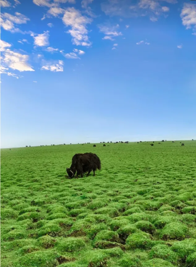 f5a4e435d4ddefcccb0b120a37e277ce-sz_688127