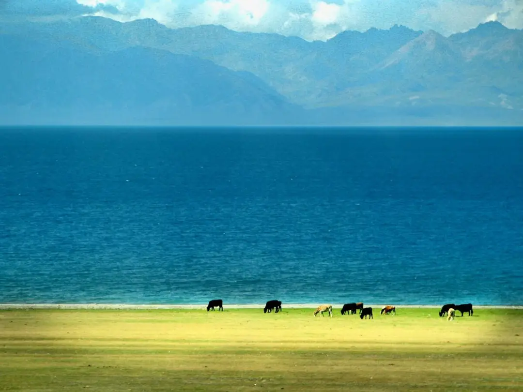 f61ffdf9398ac2499941e0bc95ecc460-sz_117528