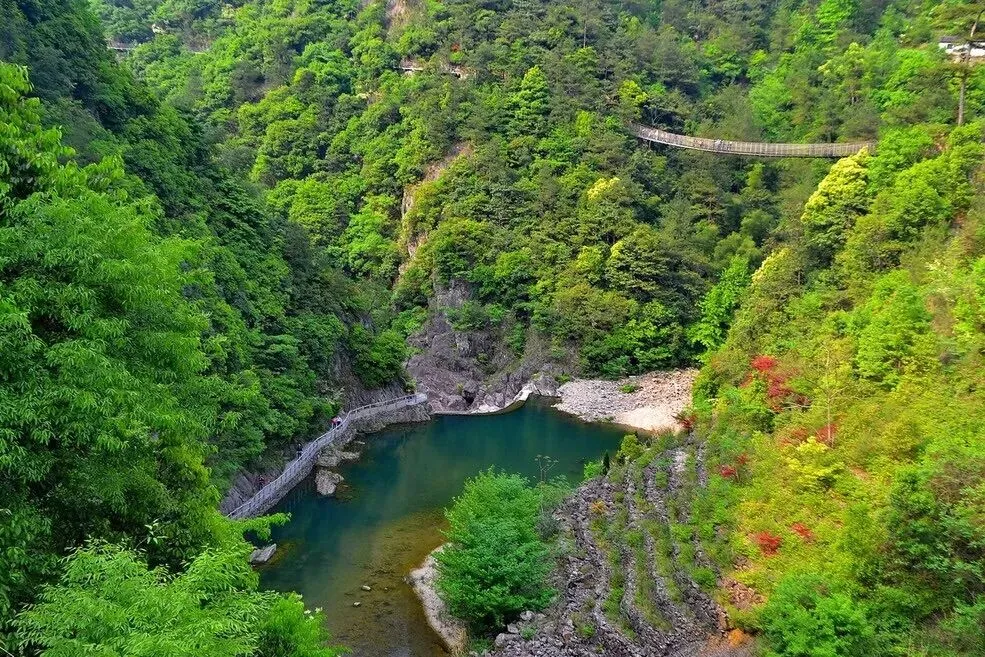 f644e50fd72df6f85ccc93f27ba00a5f-sz_259651