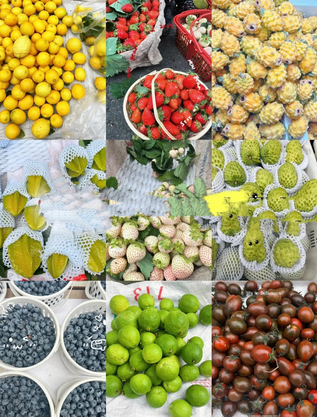 f65a9e05ac4f2ac60b30d6564403d5c5-sz_5110279