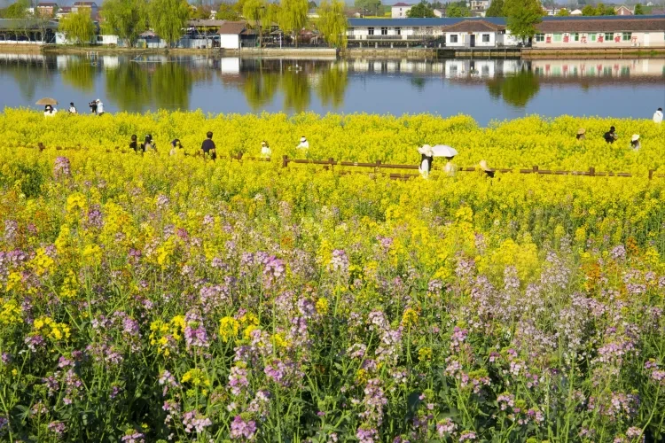 f67515e99a8468cb3150e4b7f1ac841a-sz_1972748