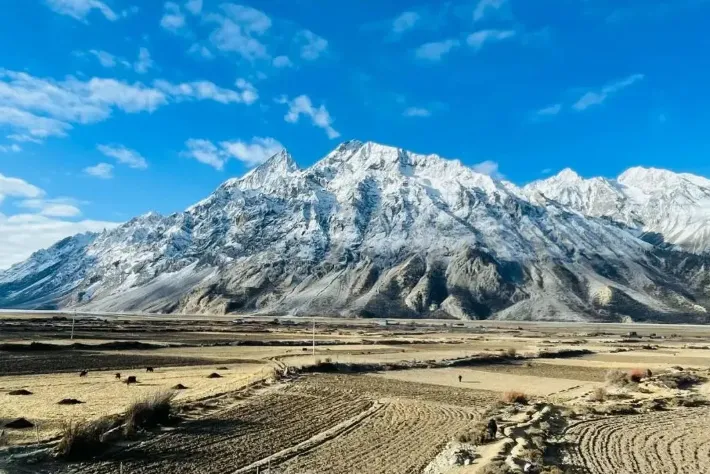 f68bfbd5b39c97ae402ea9e2586b81e4-sz_828631