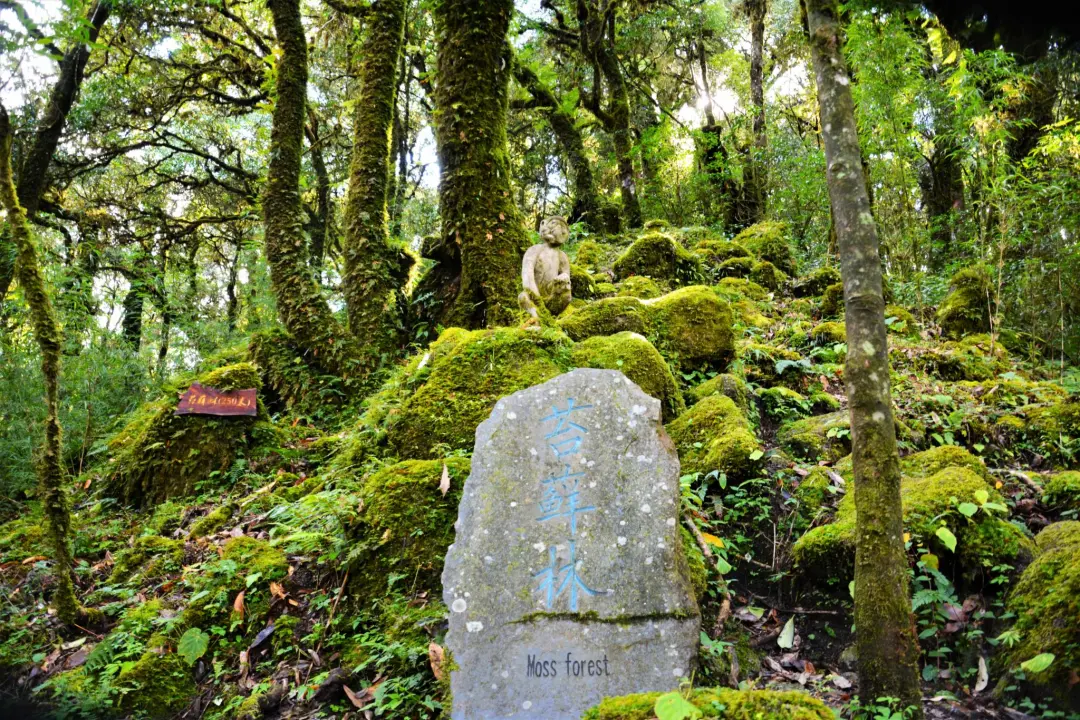 f6b1b6df8dbe2bd3028a51f28ca0ce69-sz_792165