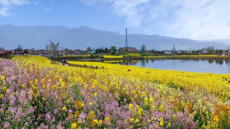 f6f8d4a081dcc69c0943ac25db68c223-sz_1968117