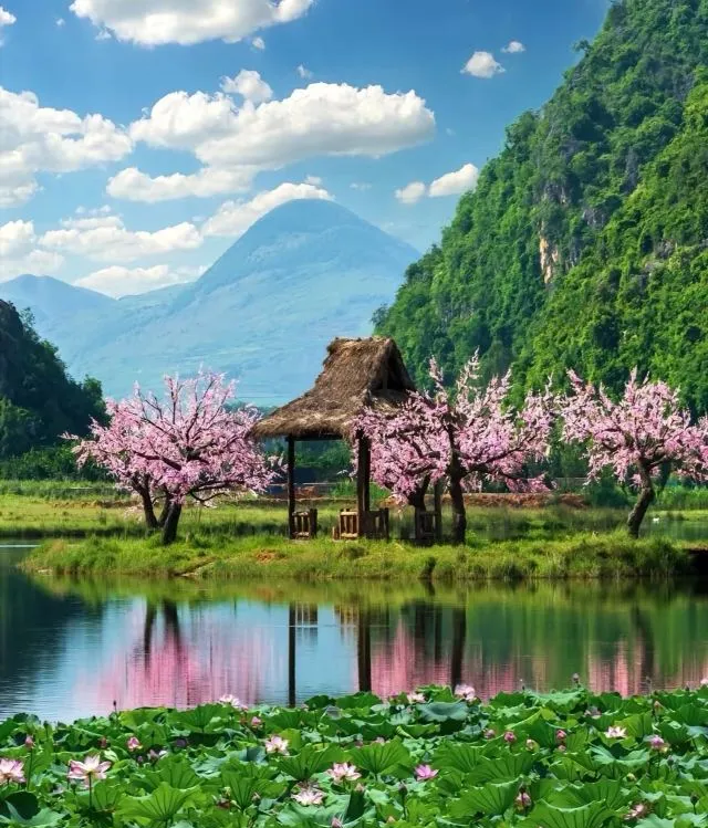 f71e4fb15e0eeb2d305da84c411baad8-sz_1514664