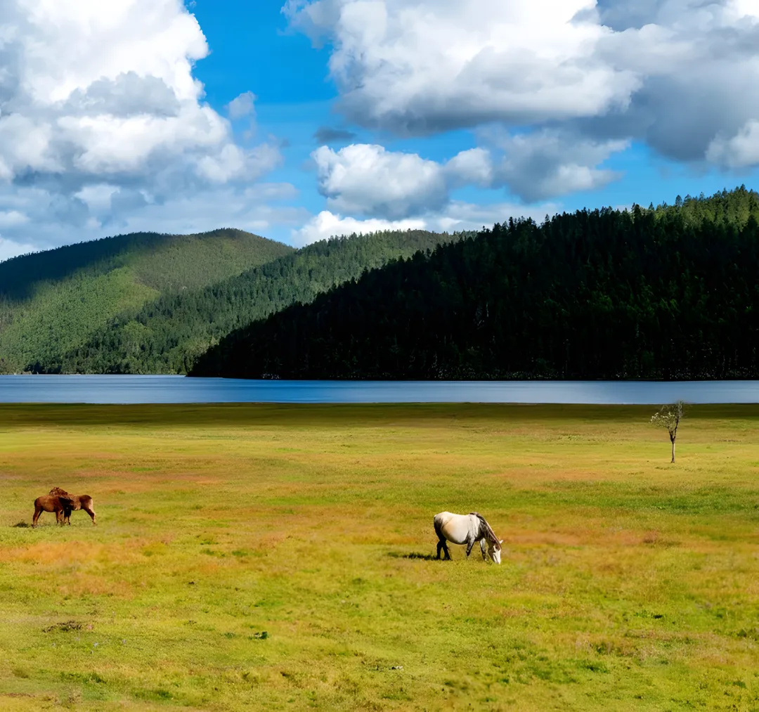 f73a609c80132c6402a3182f0905b665-sz_5488583