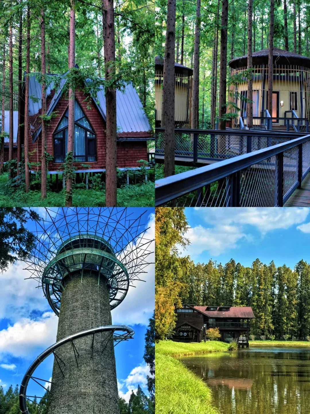 【暖冬泡汤 ❤️幸福迎春】安丰古镇+西溪景区+日出海湾赶海拾贝+黄海野生麋鹿荡看麋鹿+西溪景区夜游年味集市+黄海森林公园 康养4日游