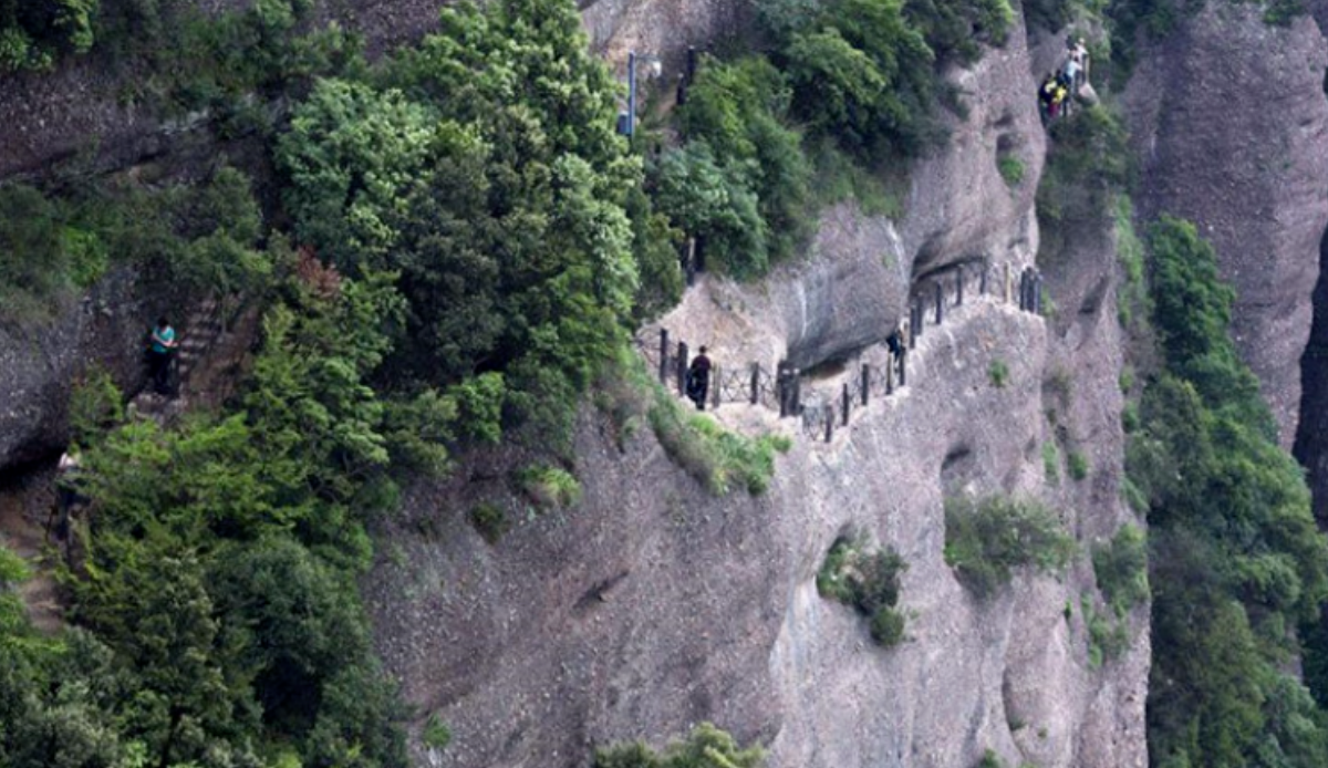 f771ffc4015a3183f9937a7a450bda2a