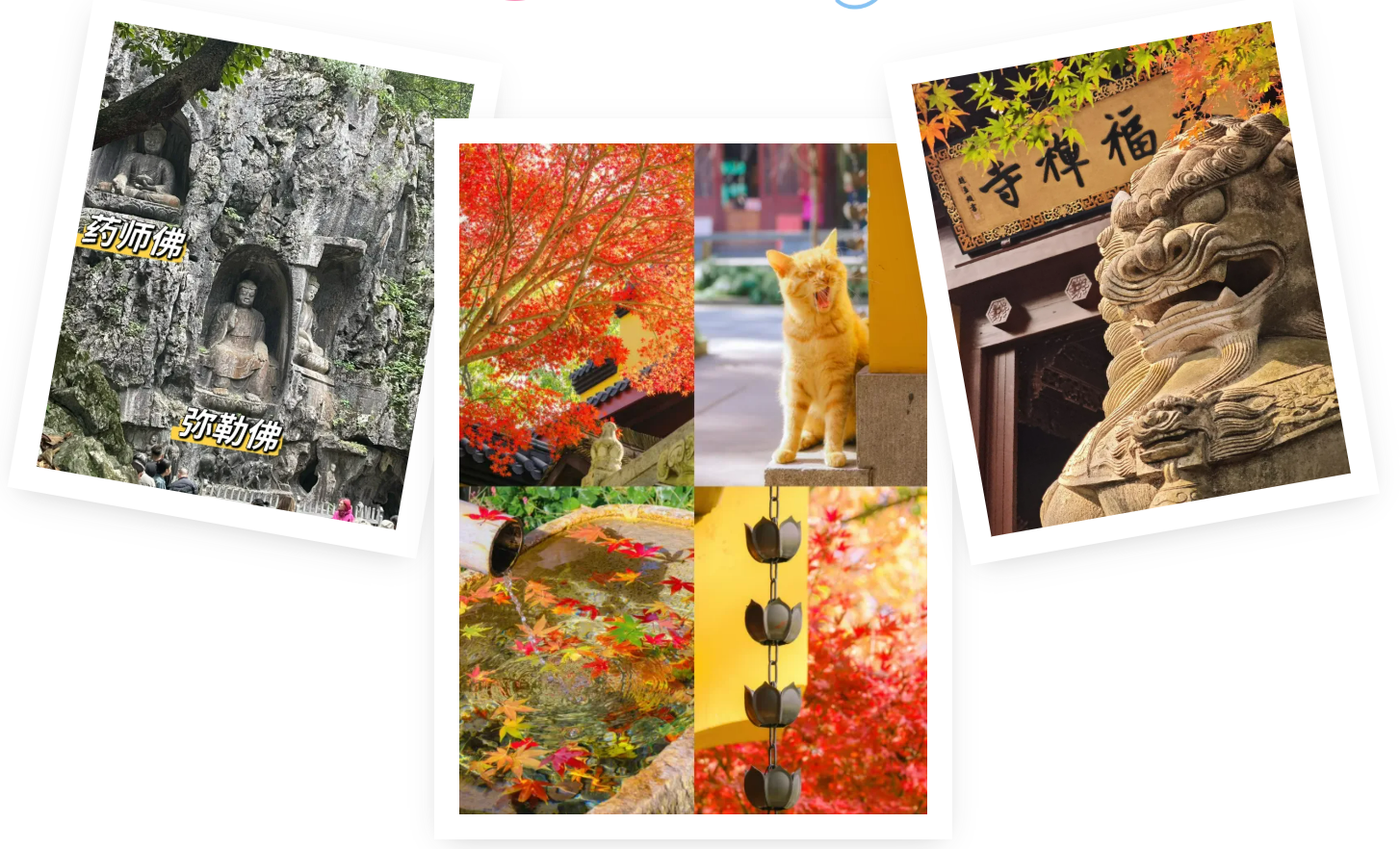 f7a239648ea9804853b0ac33f7e73386