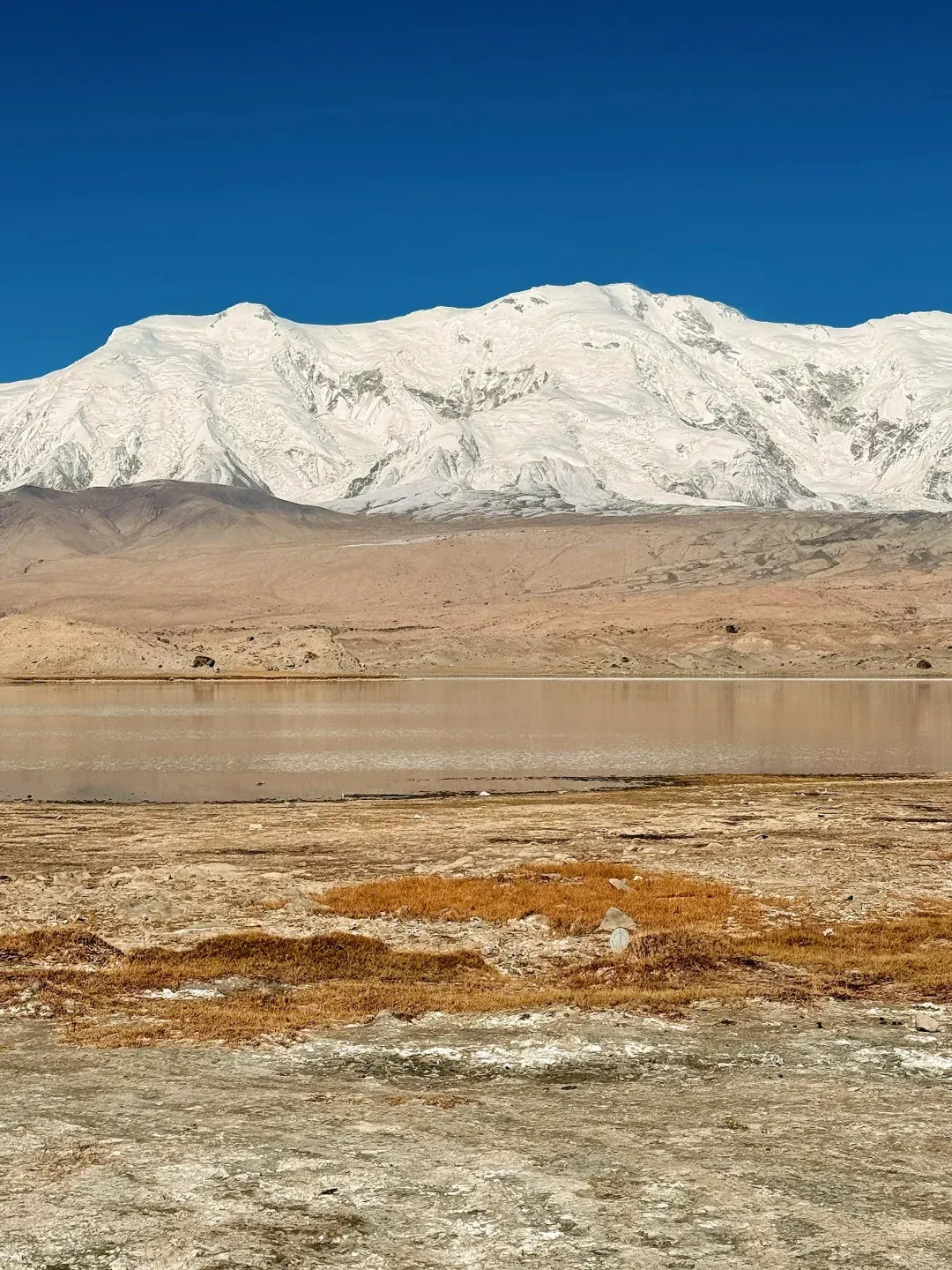 f7b71ea70195131da530931f43fb8f42-sz_2986462