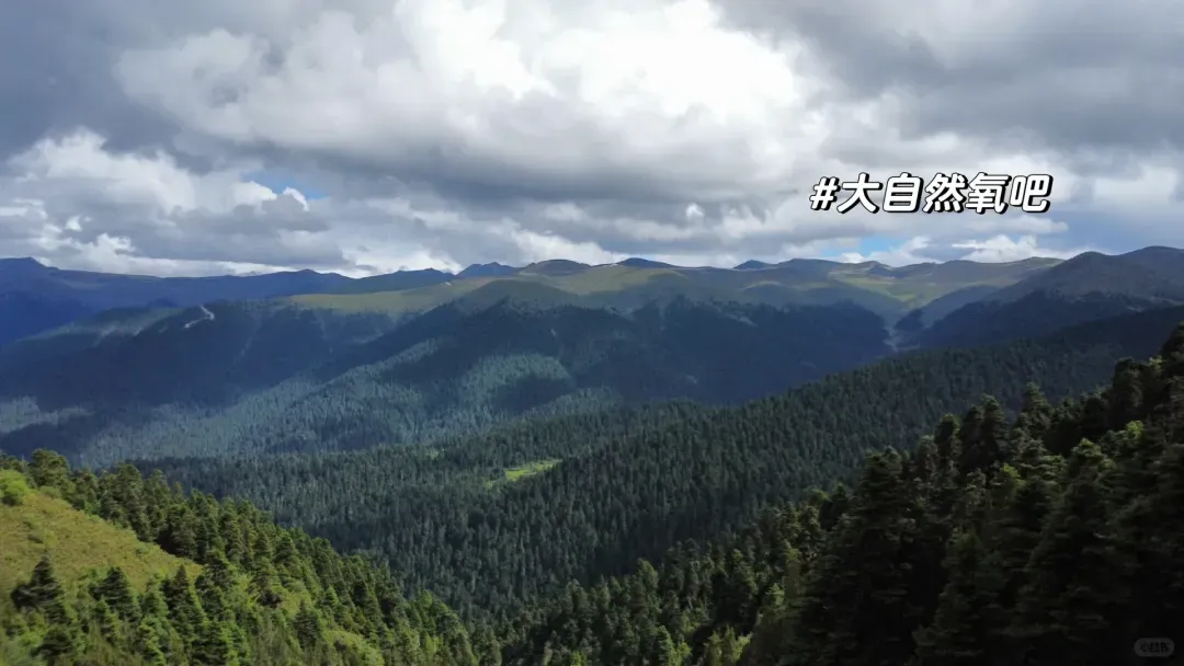 f7dfe2b6230338a03a7765cc0ccfefd9-sz_662297