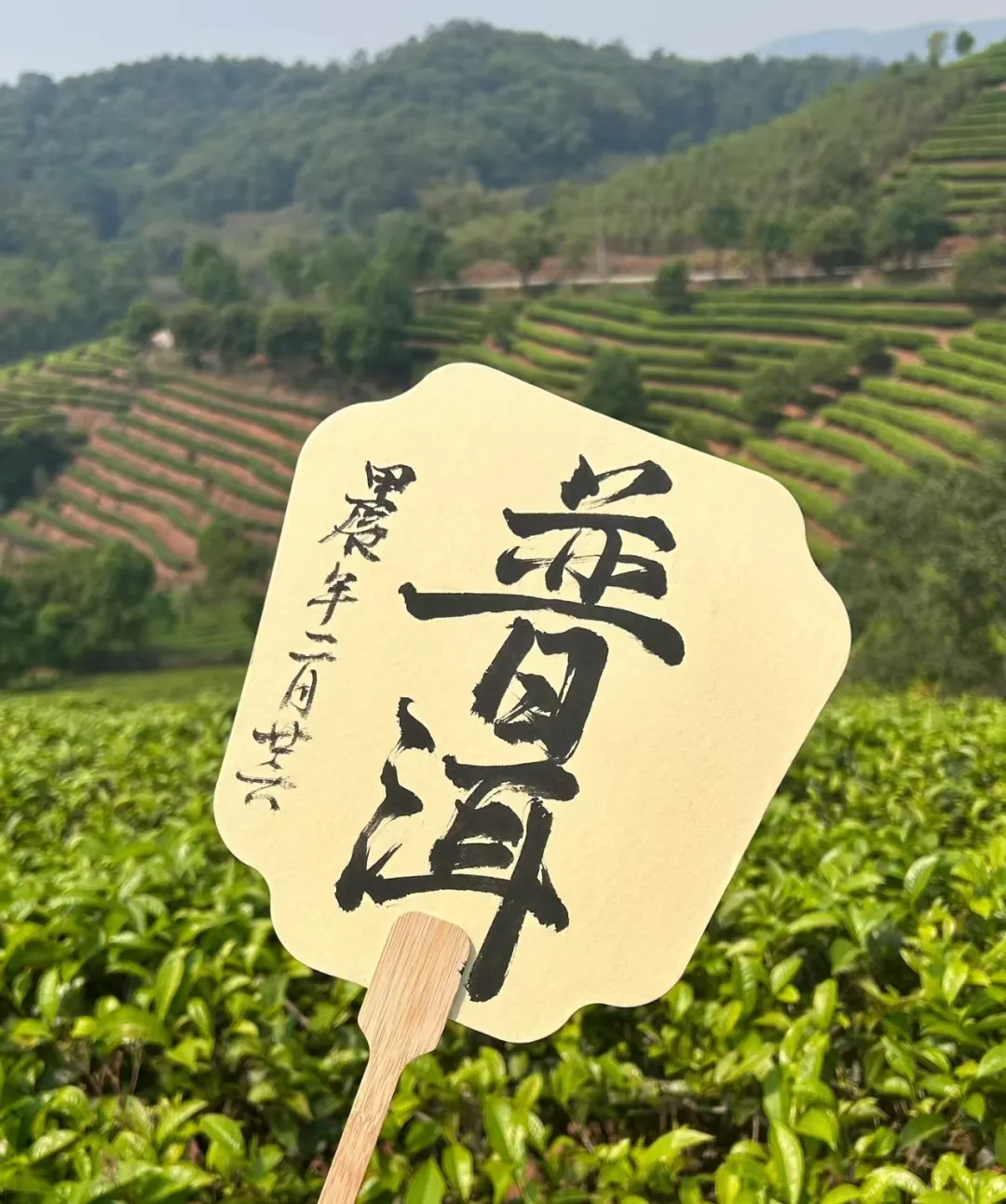 f8678e702704653832f1872b776ac889-sz_1384037-1