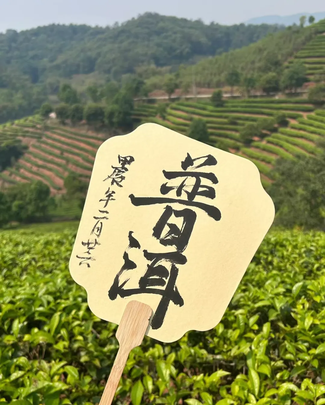 f8678e702704653832f1872b776ac889-sz_1384037