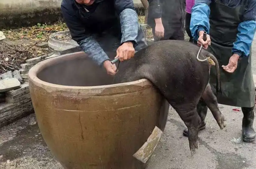 f8802df8ee81ce07140c305aa53f1744-sz_67754