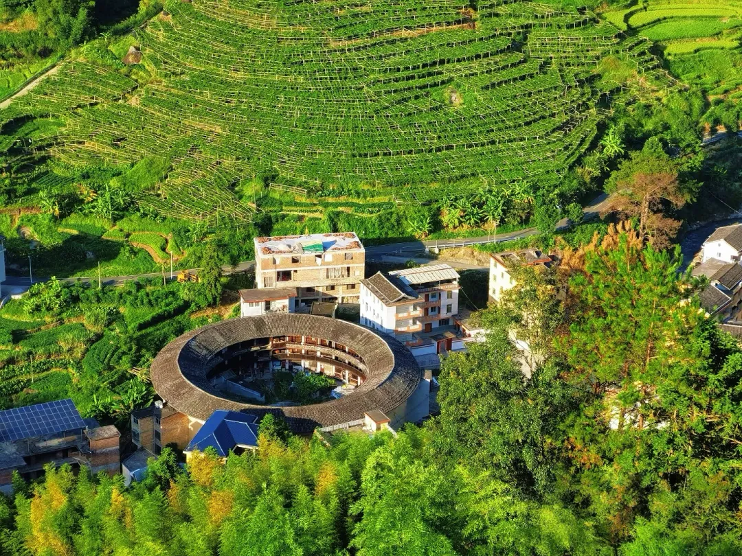 f89aff34cb3fc44eed1471a0c5f95ee8-sz_3395400