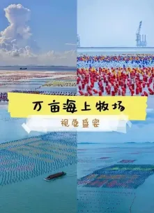 f8ca8e11fc00785f89ff3c0d13060ed2-sz_123557