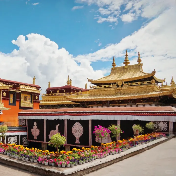 f8dbc04598ec0141a6cd046ee8f57f2a-sz_2158234