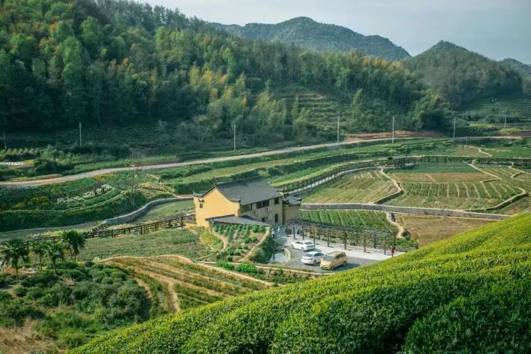 f8fd7a53a23dfc45db29cf471232f69c-sz_1494266