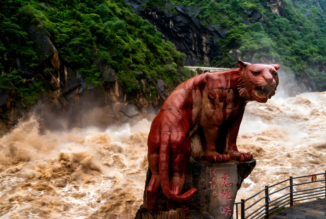 f90e315c9b3ab33f6d3ca4cf3e65bb69-sz_13303751