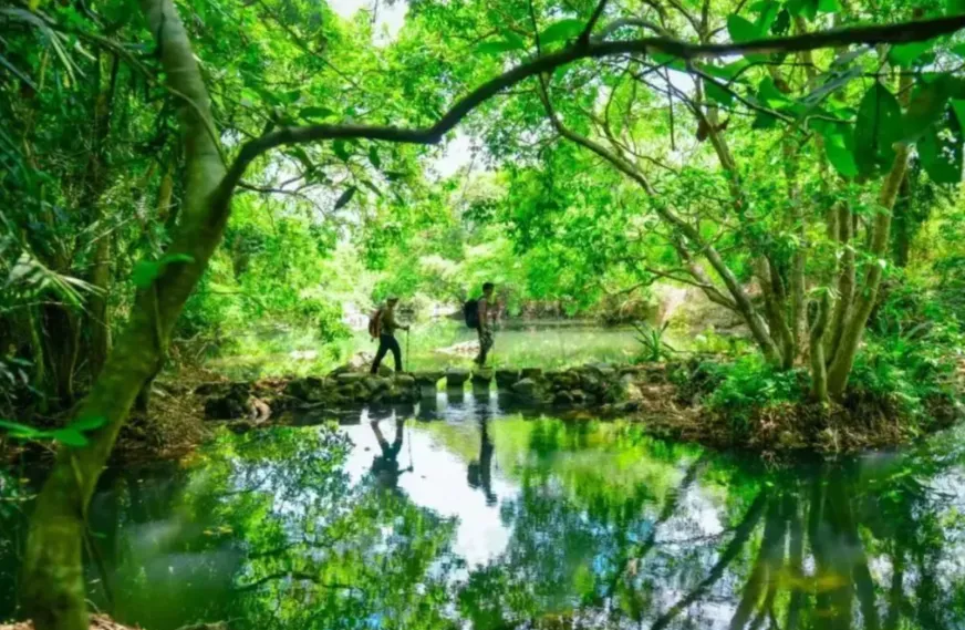 f938e4dac970fcf400c68c25784685e3-sz_1571535