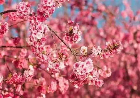 f9a25b988ce33f253692fe2c64f8c81a-sz_36271-1