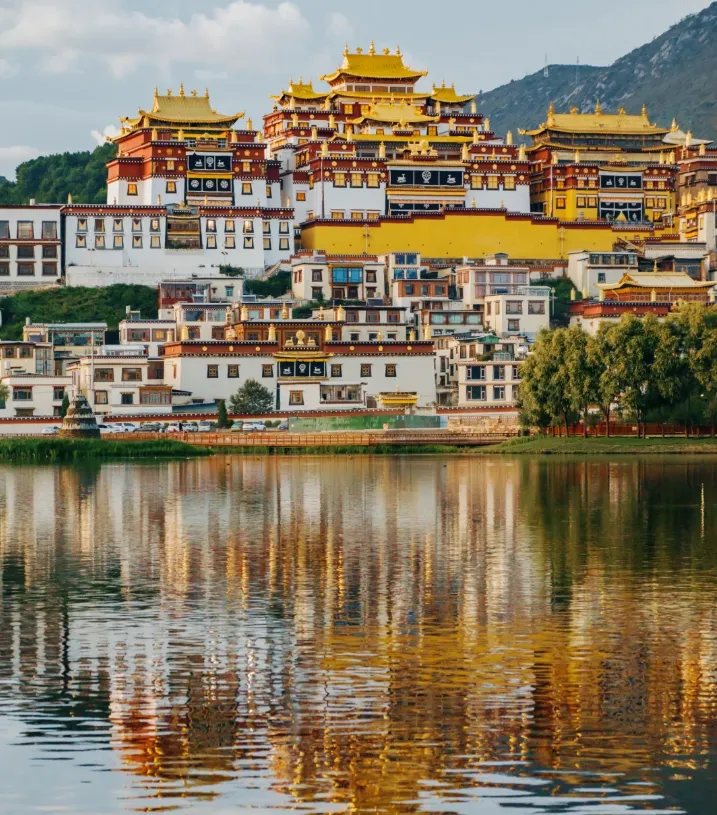 f9b62aa226f1a97814b5036c2ff2a221-sz_1609779