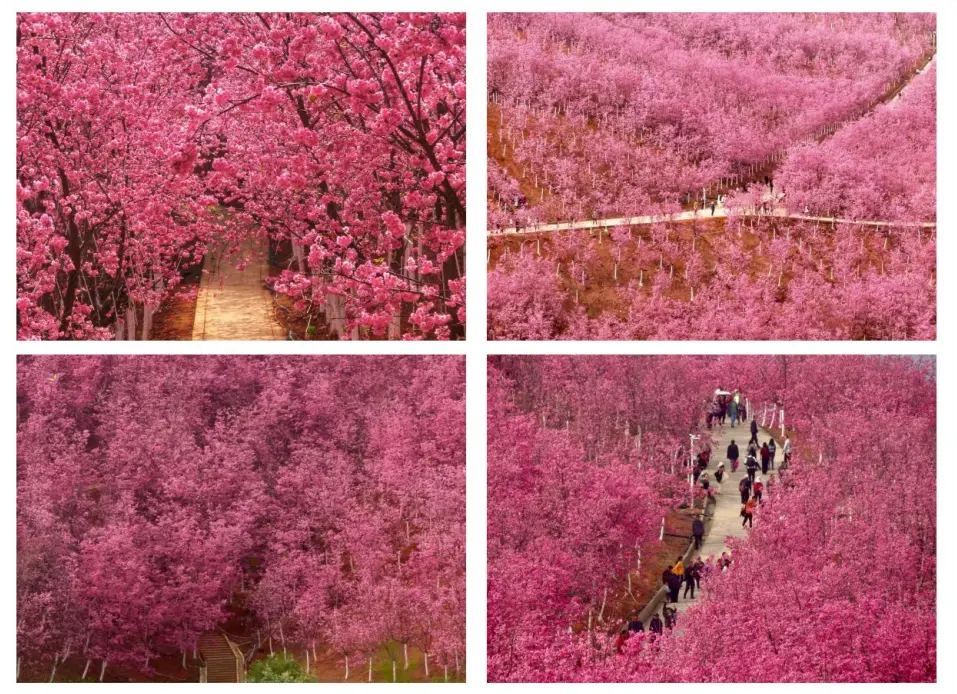 f9e80eea38c18f8821400e3e58ca8424-sz_366653