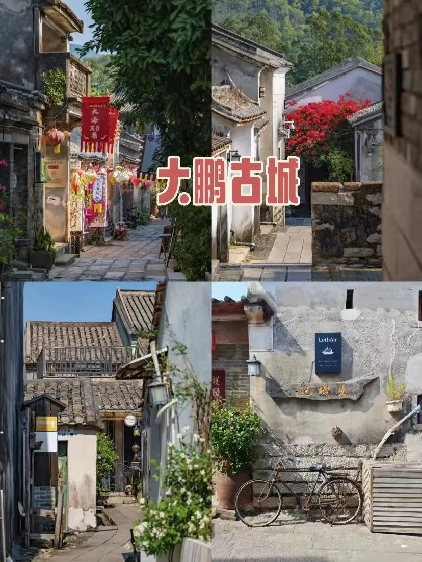 fa719c0764cea25eae02f00fe54262fe-sz_196048