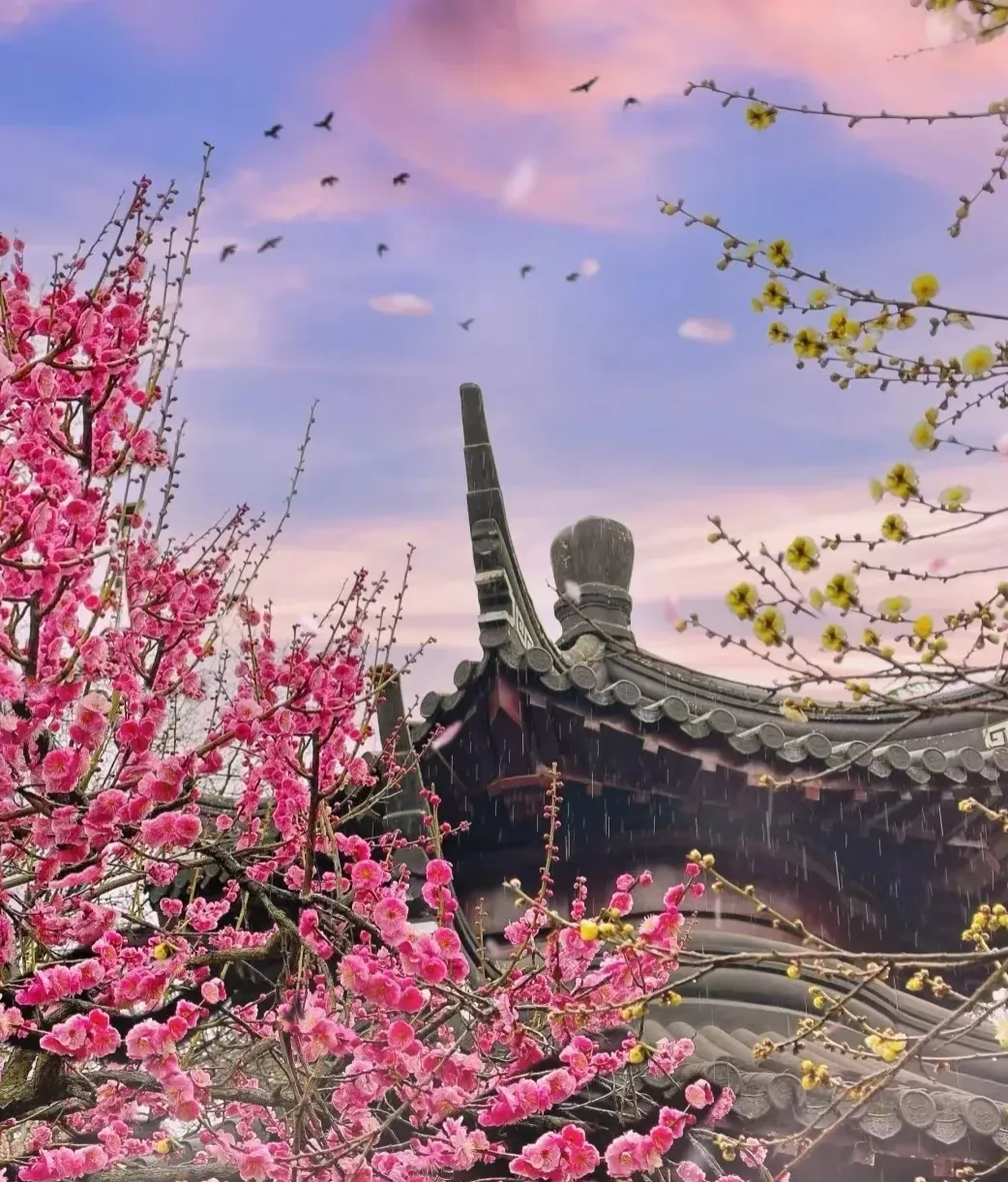 ☞499元南京赏春顶配版 赠送牛首山门票｜指定入住南京CBD【麗枫酒店纯玩4日】◆中山陵◆夫子庙◆玄武湖◆达摩古洞◆含3早5正餐◆免费棋牌娱乐